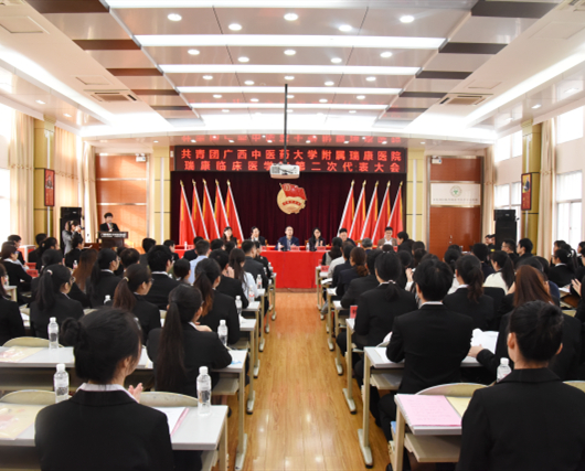 共青团广西中医药大学附属瑞康医院、瑞康临床医学院第二次代表大会圆满结束