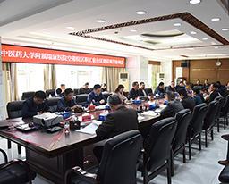 我院与扶绥县委县政府召开空港院区项目建设协调会