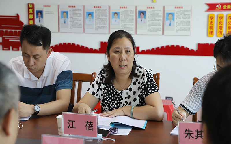 专家组组长江蓓发言2.jpg