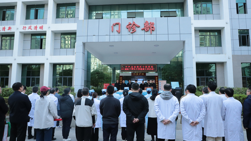 薪传十载感党恩 扎根壮乡启新章——田阳分院开展建院10周年大型义诊活动