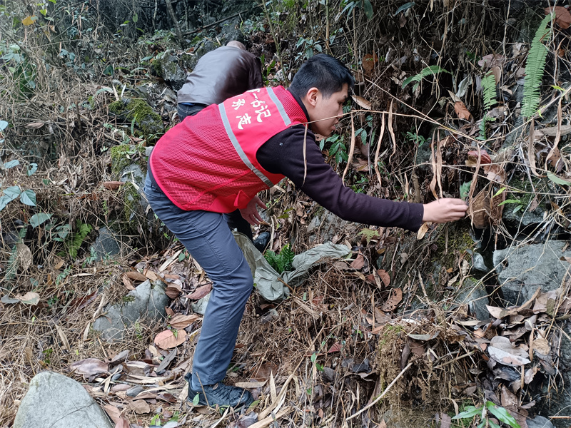 念潭村：破茧成蝶，“后进”迈向“前进”新征程